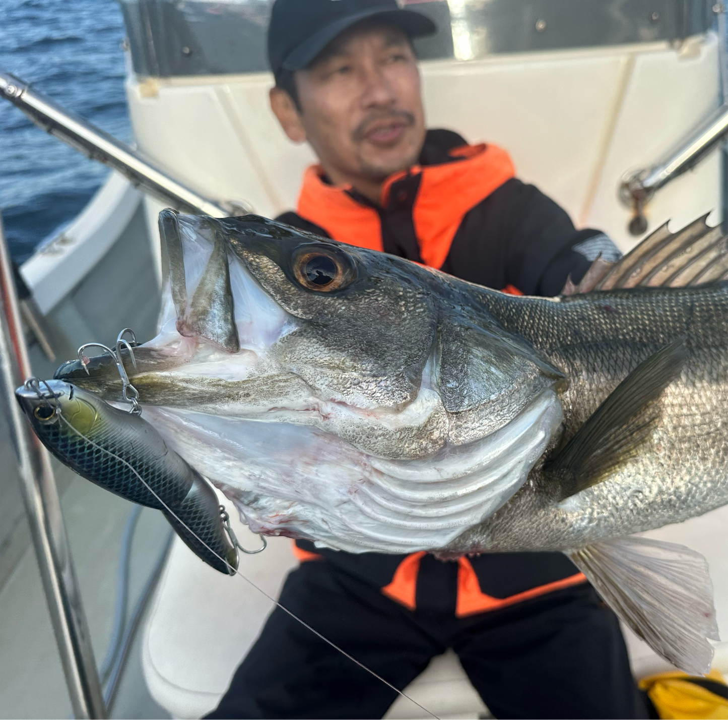 HOO155F (C BAIT)